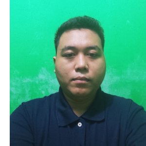 David Dwi Setiawan-Freelancer in Jakarta,Indonesia