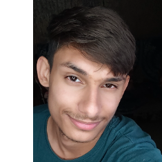 Harsh Garg-Freelancer in Indore,India