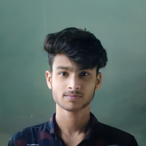 RK Rakib-Freelancer in Kazipur,Bangladesh