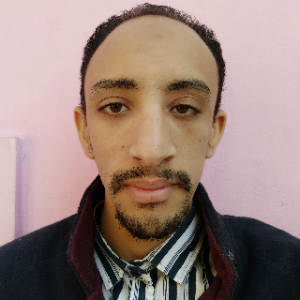 Ahmed Mohamed-Freelancer in cairo,Egypt