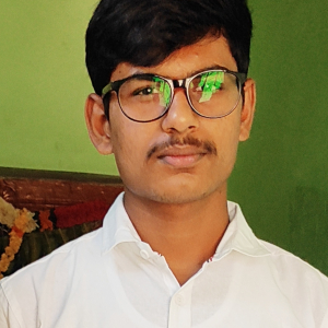 Manoj Kumar-Freelancer in Tirumalaisamudram,India