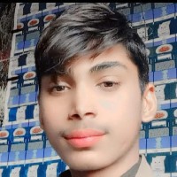 Malik Shazal-Freelancer in Hafizabad,Pakistan