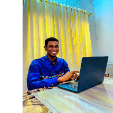 Jonathan Gideongreat-Freelancer in Katsina,Nigeria