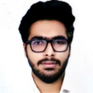 Akhil Mahla-Freelancer in ,India