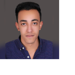 Ibrahim Mostafa-Freelancer in Alexandria,Egypt