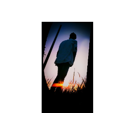 Md Saidul-Freelancer in Dakha,Bangladesh