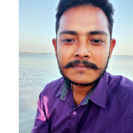 Ds Sourav-Freelancer in Khulna,Bangladesh