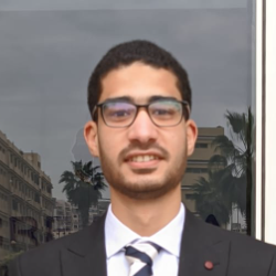 Abdelrahman Emam-Freelancer in Tanta,Egypt