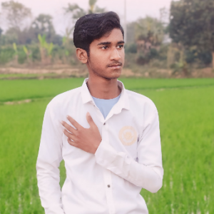 Md Sabbir Ahamed-Freelancer in Rajshahi,Bangladesh