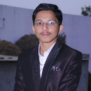 Vivek Patel-Freelancer in Gandhinagar,Gujarat,India
