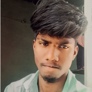 Ramakrishnan-Freelancer in madurai,India