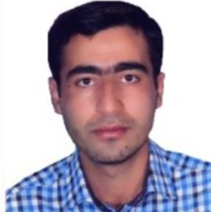 Behrooz Mohammadi-Freelancer in Istanbul,USA