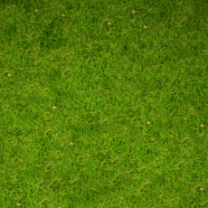 Naman Kanungo-Freelancer in Ahmedabad, Indore,India