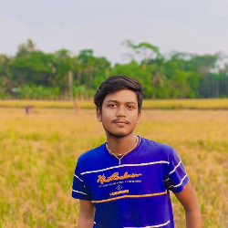 Dip Roy-Freelancer in Dhaka,Bangladesh