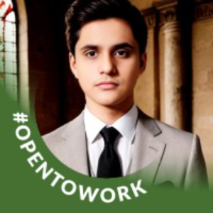 Muhammad Ali-Freelancer in Shakargarh,Pakistan