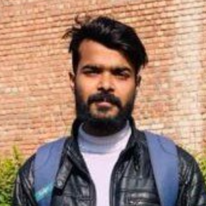 Manish Kumar-Freelancer in Patna,India