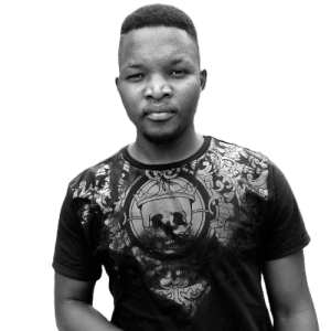 Proficient Mkansi-Freelancer in Johannesburg,South Africa