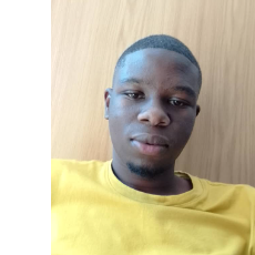 Leon Dhimba-Freelancer in Harare,Zimbabwe