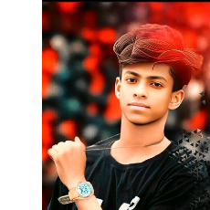 Md Monir-Freelancer in Daka,Bangladesh