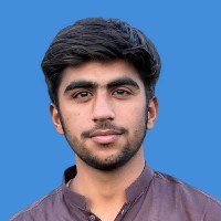 Abdul Moiz-Freelancer in Multan,Pakistan