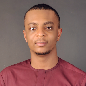 Martins Obiechina-Freelancer in Abuja,Nigeria