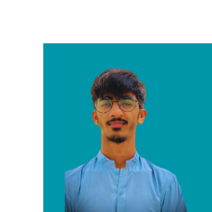 Muhammad Hassan-Freelancer in Dera Ismail Khan,Pakistan