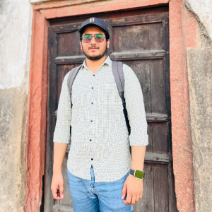 Mehar Ali-Freelancer in Lahore,Pakistan