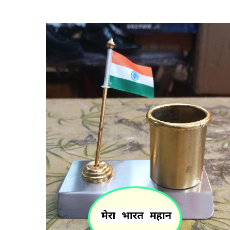 Vikram Kumar-Freelancer in Haryana,India