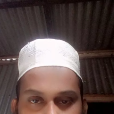 Shafiqul Islam-Freelancer in Narsingdi,Bangladesh