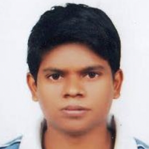 Satish Meshram-Freelancer in Nagpur,India