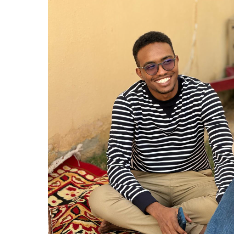 Mahmoud Alsiddig-Freelancer in Riyadh,Saudi Arabia