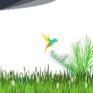 Raihan Kabir-Freelancer in Dhaka,Bangladesh