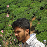 Maruthi Km-Freelancer in Bangalore,India