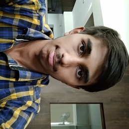 Girish Ps-Freelancer in Bengaluru,India