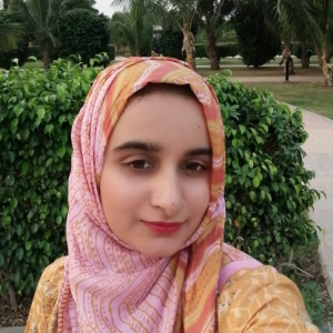 Mh Jabeen-Freelancer in Karachi,Pakistan