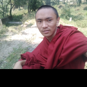 Tenzin Wangpo-Freelancer in Chandigarh,India