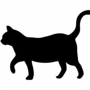 K Li-Freelancer in Central District,Hong Kong