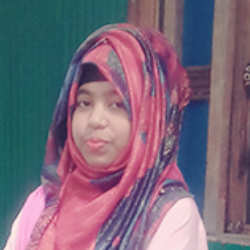 Lipu Hossain-Freelancer in Dhaka,Bangladesh
