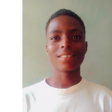 Ajiboye Timilehin-Freelancer in Ado,Nigeria