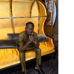 Olaegbe Abdulmalik-Freelancer in Lagos,Nigeria