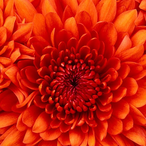 Phani Durga-Freelancer in Hyderabad,India