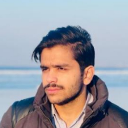 Huzaifa Danish-Freelancer in Lahore,Pakistan