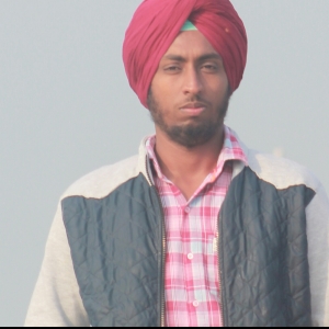 Sarb Bal-Freelancer in Amritsar,India