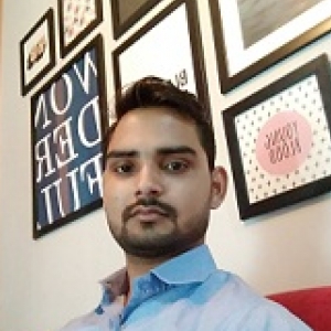 Shekhar Singh-Freelancer in Kamora,India
