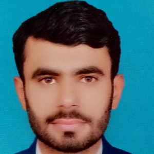 Husnain Abbas-Freelancer in Pakistani,Pakistan