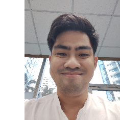 Niel Carlos Camarig-Freelancer in Parañaque City,Philippines