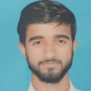Muhammad Annas-Freelancer in Taxila,Pakistan
