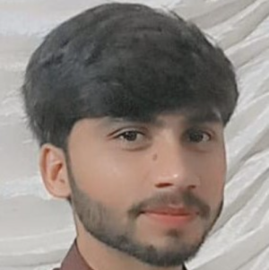 Sajjad Ali-Freelancer in Kasur,Pakistan