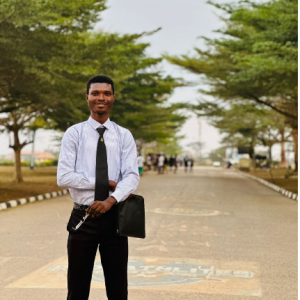 Peace Solutions-Freelancer in ,Nigeria