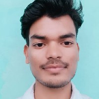 Vineet Kumar-Freelancer in Lakhimpur,India